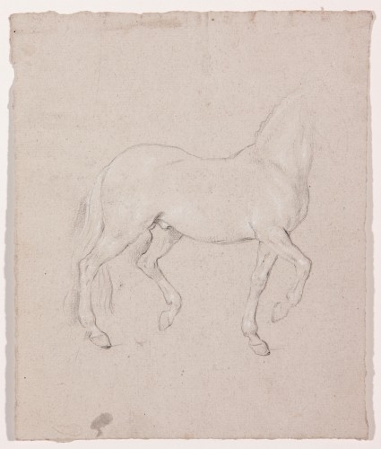 Horse, preparatory drawing for the print Slow Trot. Portrait of Fernando, Prince of Asturias - Antonio Carnicero