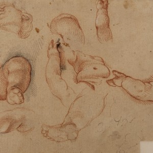 Study of the Head, Torso, Hands and Legs of a Boy -  