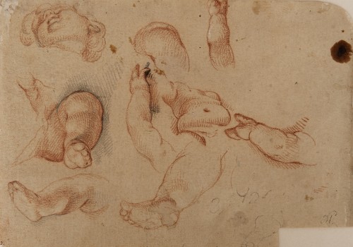 Study of the Head, Torso, Hands and Legs of a Boy - Francisco Ignacio Ruiz de la Iglesia