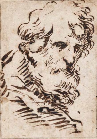 Bearded Head in half-profile - Francisco de Herrera, the Elder
