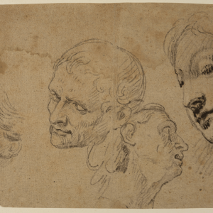 Study of Heads for the painting “The Holy Family with Saints” -  