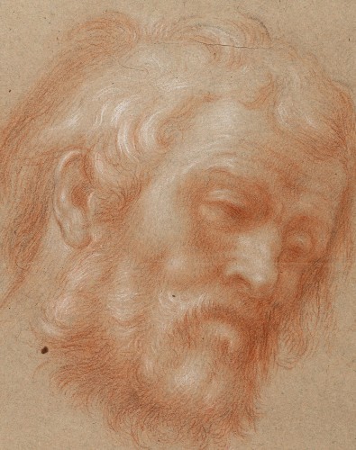 Head of a bearded old man - Francisco Bayeu